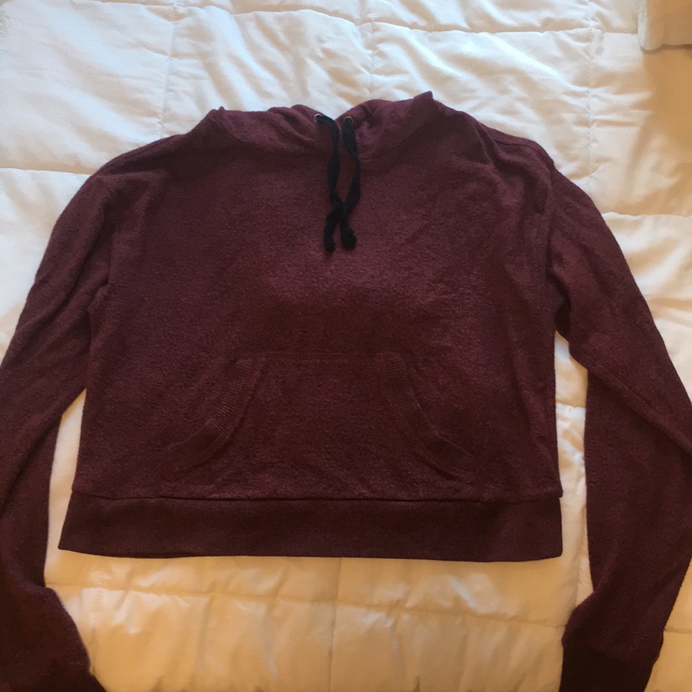 Pacsun crop sweatshirt